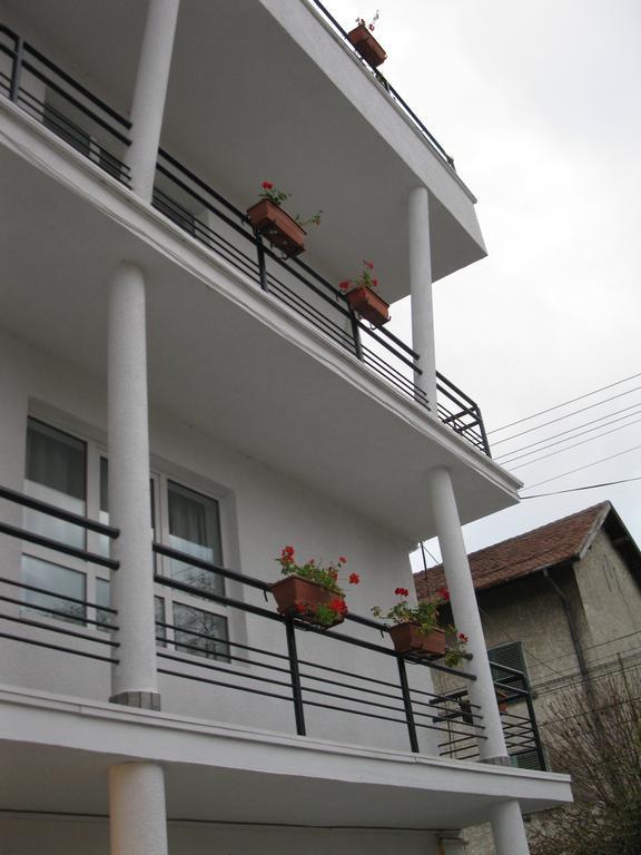 Pensiunea Leo Brasov Exterior photo